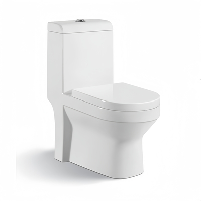 Ensembles de toilettes en céramique traditionnels et bassins à couverture de siège de toilette lentement