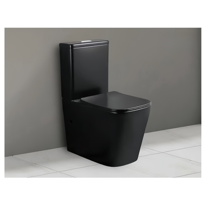 Vêtements sanitaires en céramique sifonique pour les toilettes
