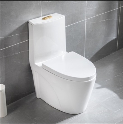 Fonction avancée réglage de la pression d'eau une pièce de la cuvette de toilette 300mm 400mm